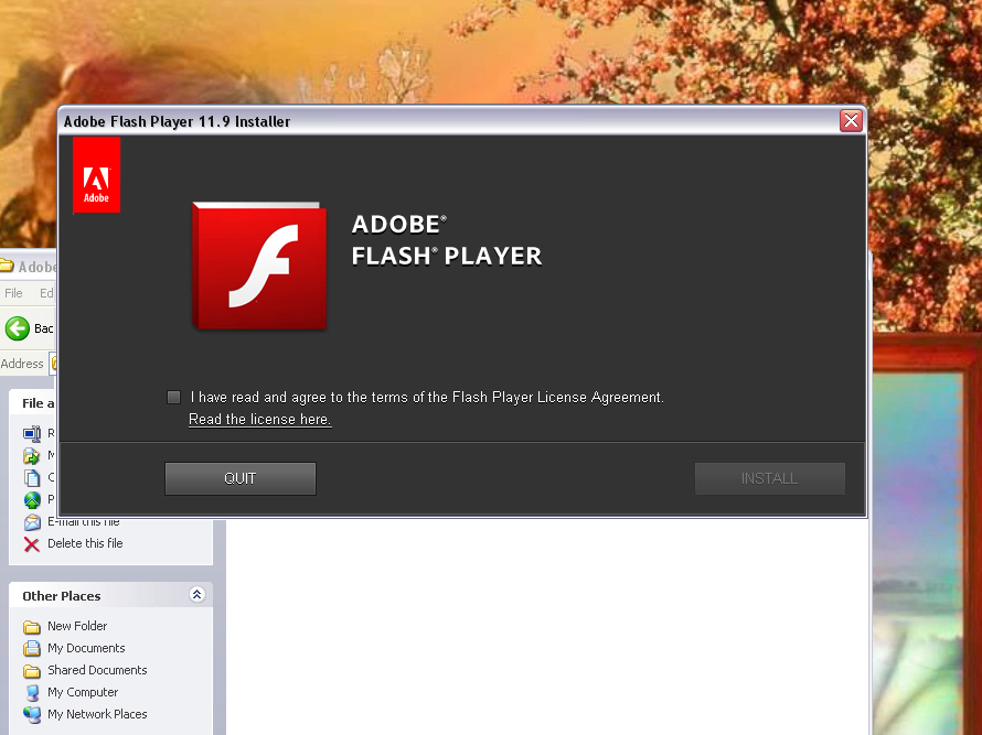 Adobe Flash Player 11 Mac
